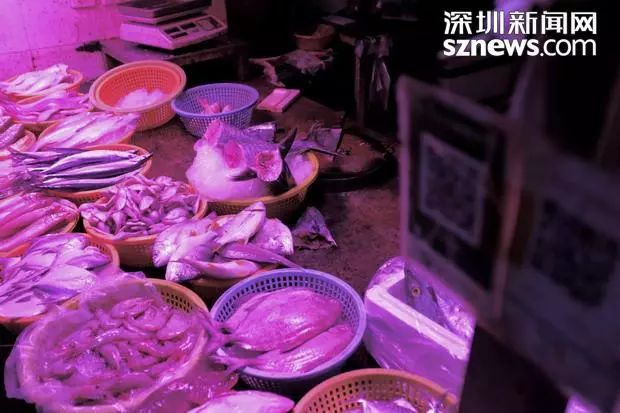 巴布亚新几内亚人是什么人种_巴布亚新几内亚人_巴布亚新几内亚原住民