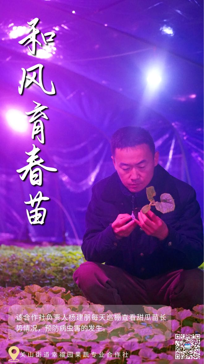 勇者斗恶龙8地图:魔法师镇VS妖精森林,哪个区域的秘密更惊艳?