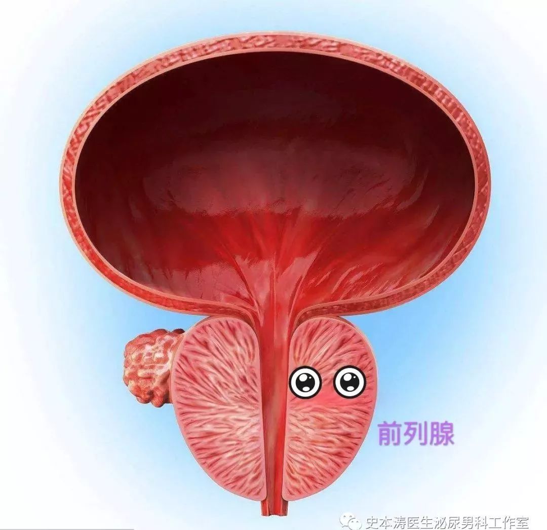 增生病_免疫增生病_红斑增生病