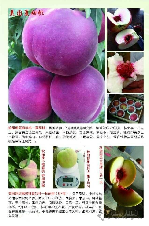 圣三国蜀汉传怎么练果_三国练果圣蜀汉传怎么玩_圣三国蜀汉传练果神器哪里弄