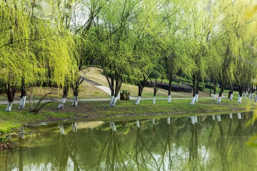 快乐的寒假作文500-回家寻找心灵栖息地，寒假探险记