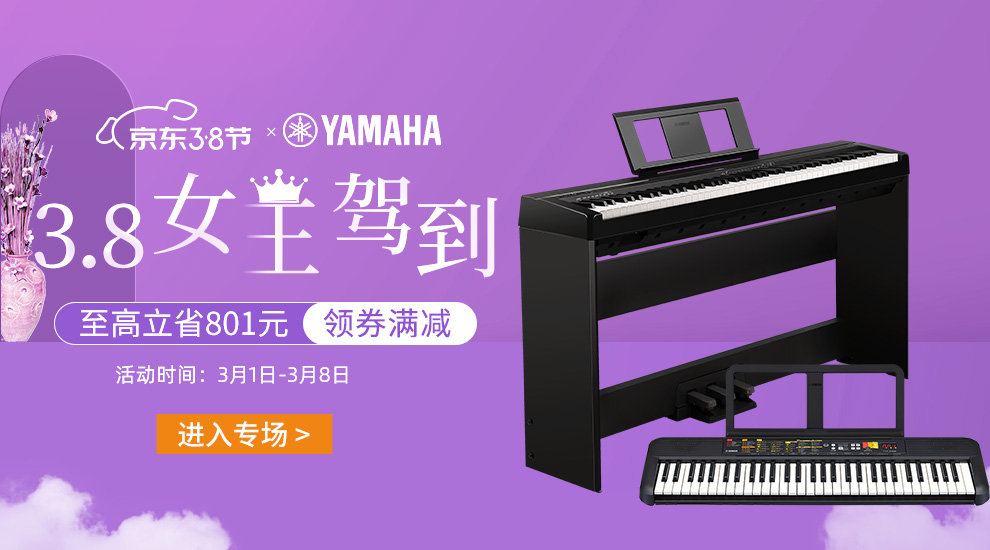 双键盘电子琴价格大揭秘!品牌、功能、材质,你买对了吗?