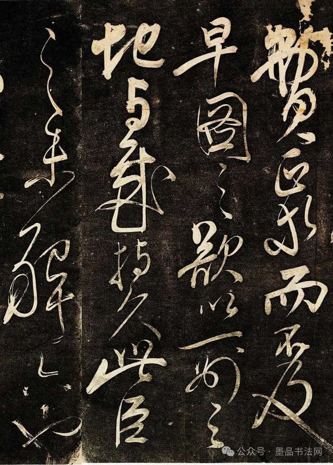 墨鲤是什么意思_墨鲤抄徐娇_墨鲤抄是什么