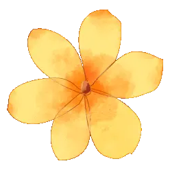 暗黑破坏神3多少钱给翅膀_暗黑破坏神3多少钱给翅膀_暗黑破坏神3多少钱给翅膀