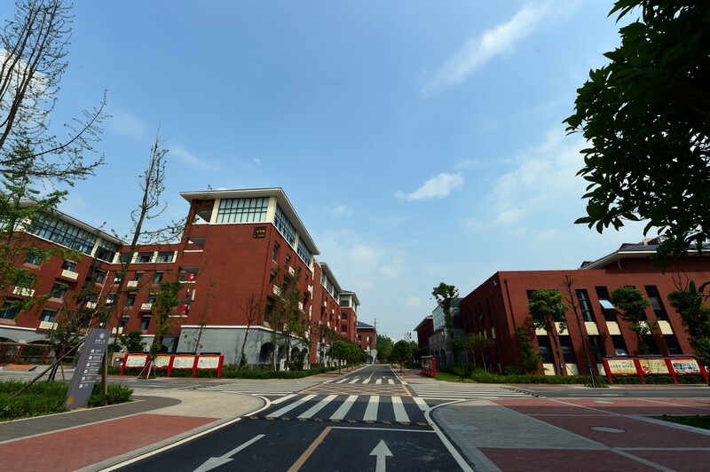 成都初中中学_成都初中部学校的排名_成都17中初中部怎么样