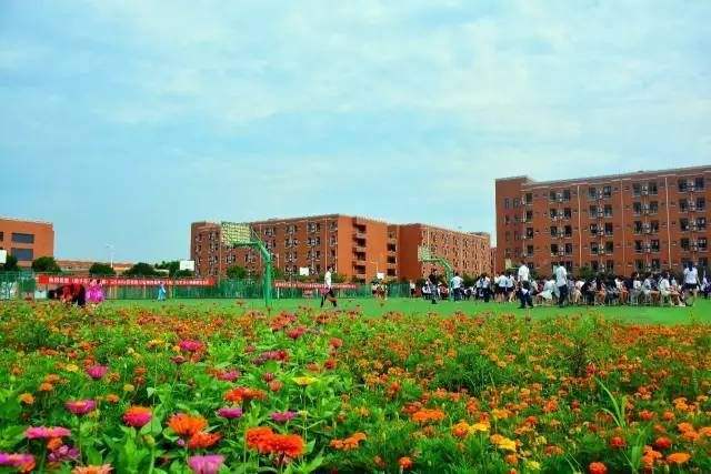 成都初中部学校的排名_成都初中中学_成都17中初中部怎么样