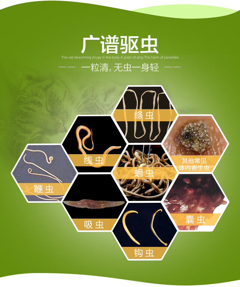体内有虫猫咪会瘦吗_猫体内有虫会不吃饭吗_猫体内有虫 人没事吧