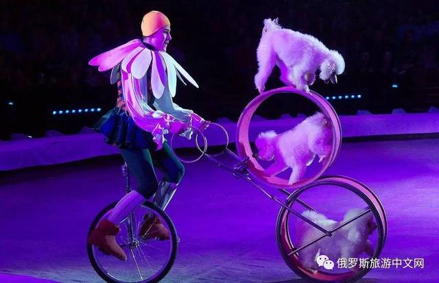 山地自行车车技表演_山地自行车特技表演图片_山地自行车特技表演