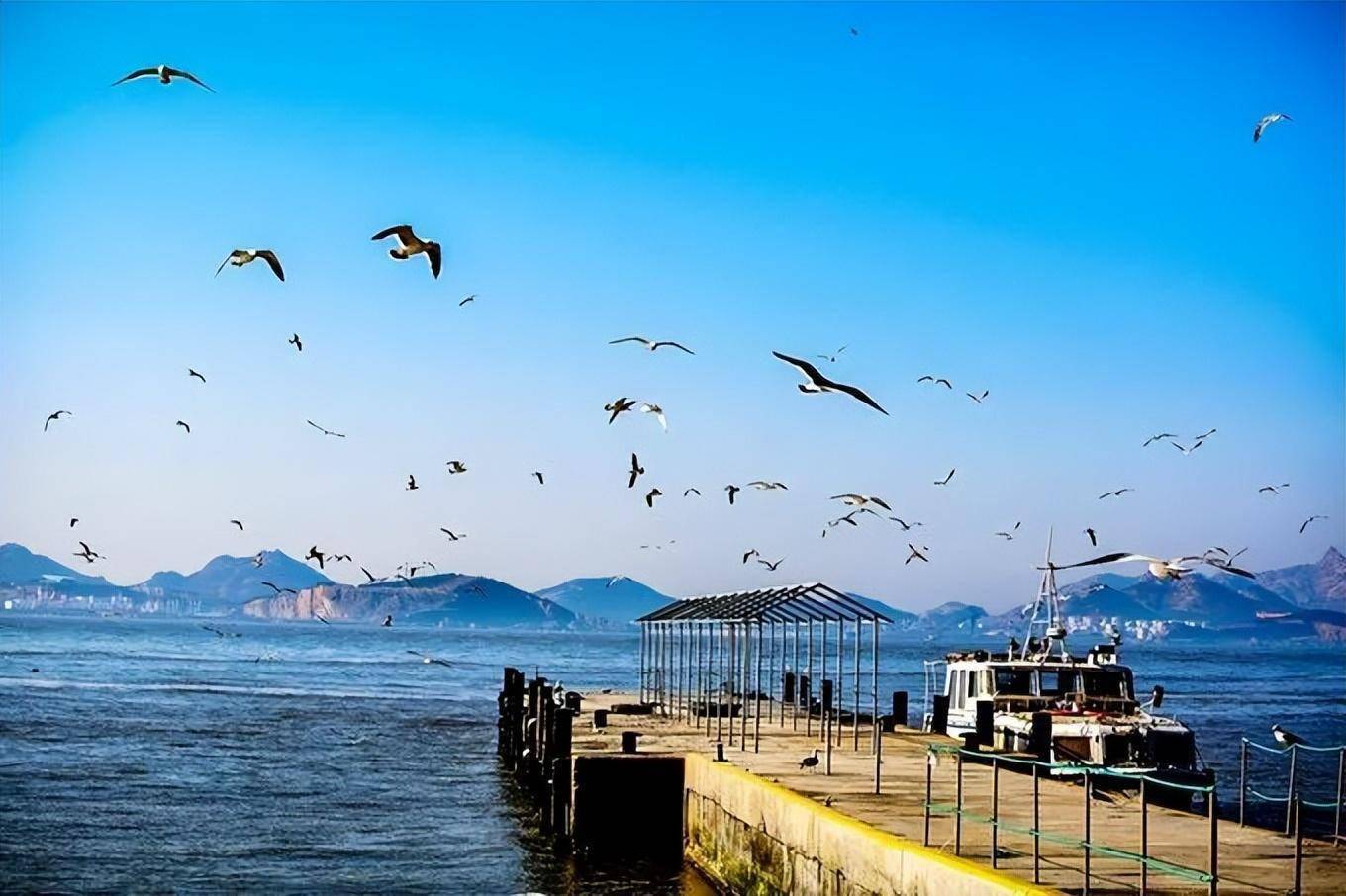冰翼之魂 和谐_冰翼之魂_冰翼之魂适合哪个职业