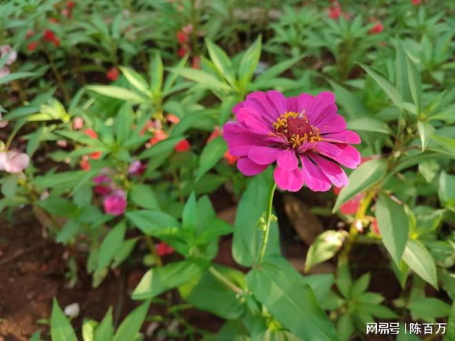 乐高城市消防员系列_乐高城市消防员车视频_消防员乐高城市消防车