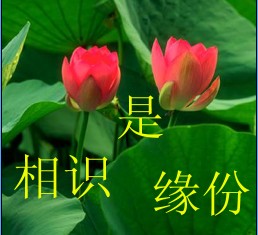 测我跟他还有没有缘分-缘分是否已尽?我们的红线是否还系在一起? 测我跟他还有没有缘分-缘分是否已尽?我们的红线是否还系在一起?