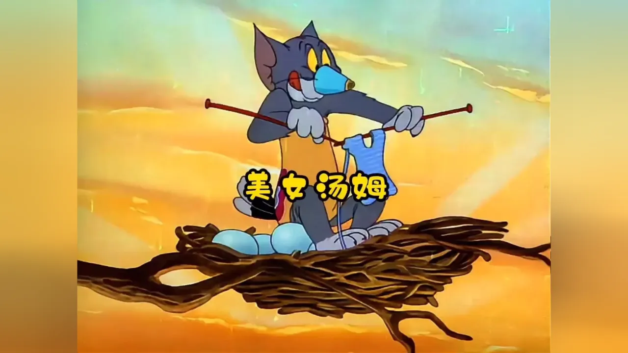 老猫老鼠_猫和老鼠61集_老鼠猫