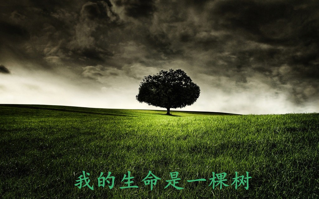 猴子上果树_如果树上的是你 你会怎么办_莽原上那棵野苹果树