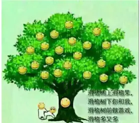 如果树上的是你 你会怎么办_猴子上果树_莽原上那棵野苹果树