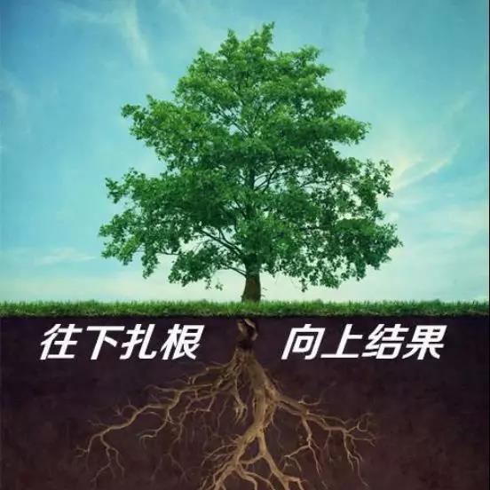 如果树上的是你 你会怎么办_猴子上果树_莽原上那棵野苹果树