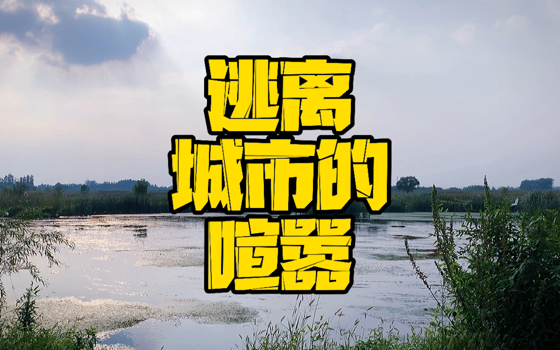 上海到上蔡的汽车-从上海到上蔡：一段逃离喧嚣的纯粹之旅