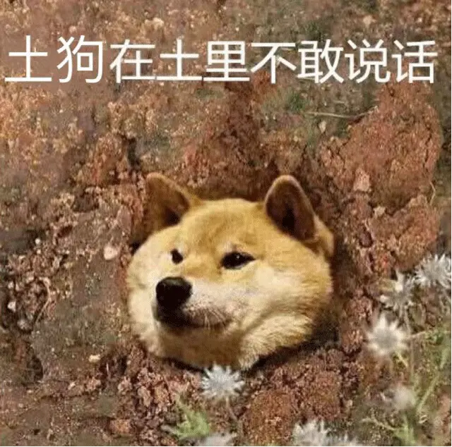 陌陌财富等级叫什么名字_陌陌财富的等级_陌陌什么叫财富等级