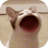 Popcatmeme Popcatmeme