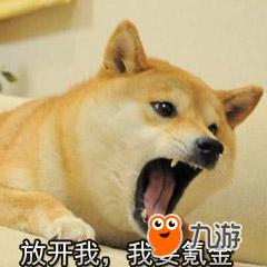 开罗游戏翻墙