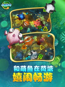 小鱼游戏时,体验无限乐趣