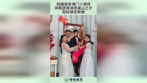 轻松堵门游戏,互动升级