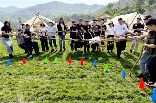 露营团建游戏,露营团建游戏欢乐盛宴”